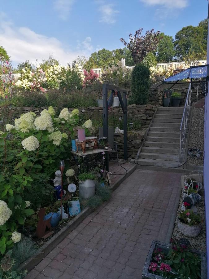 Im Erzgebirge Wandern, Fahrrad Fahren Oder Entspannen Ehrenfriedersdorf Exteriör bild