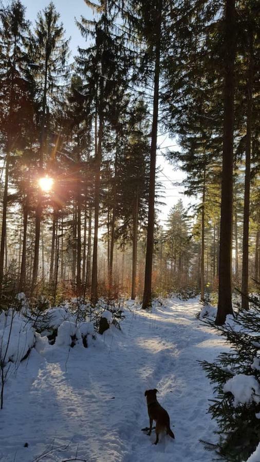 Im Erzgebirge Wandern, Fahrrad Fahren Oder Entspannen Ehrenfriedersdorf Exteriör bild