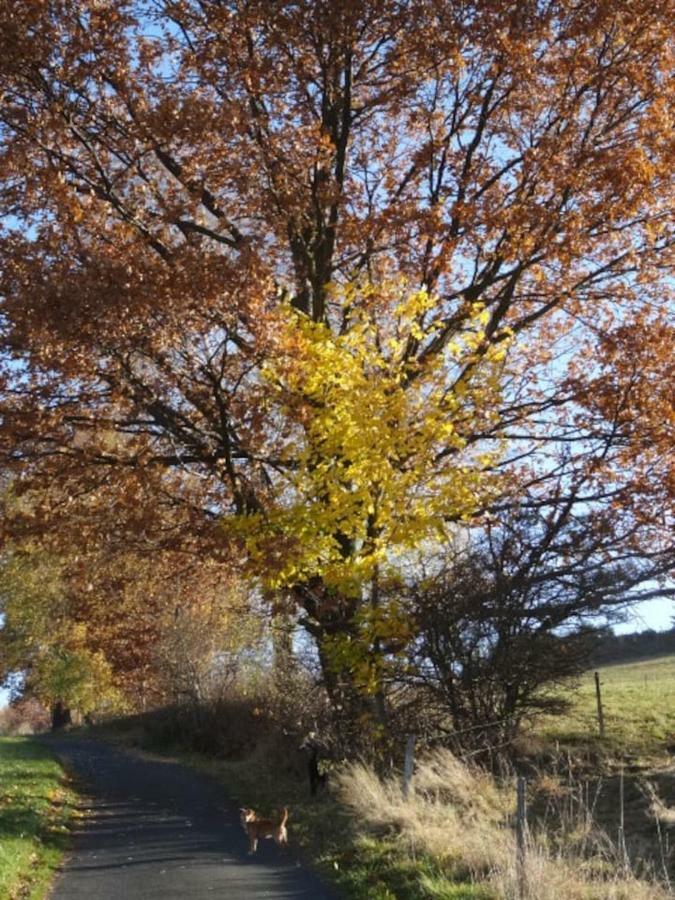 Im Erzgebirge Wandern, Fahrrad Fahren Oder Entspannen Ehrenfriedersdorf Exteriör bild