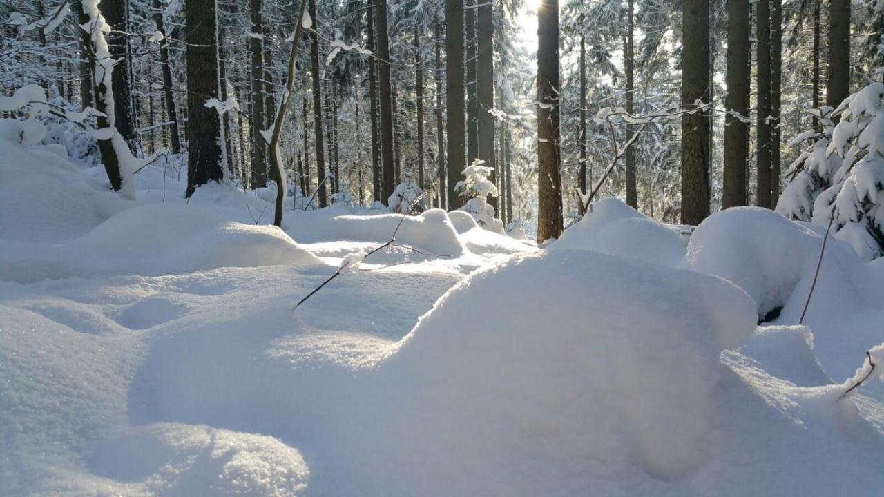 Im Erzgebirge Wandern, Fahrrad Fahren Oder Entspannen Ehrenfriedersdorf Exteriör bild